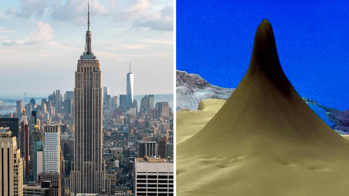 Un recif mai înalt decât Empire State Building (foto David Fanner/James Cook University