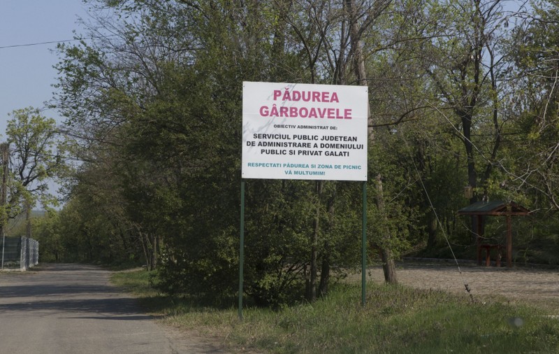 Pesta porcină a ajuns la Grădina Zoologică din Galați. Singurul mistreț de acolo va fi sacrificat!