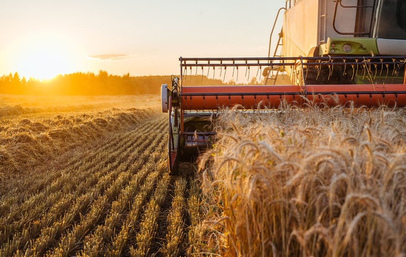 Afaceri agricole profitabile: De la idee la realitate
