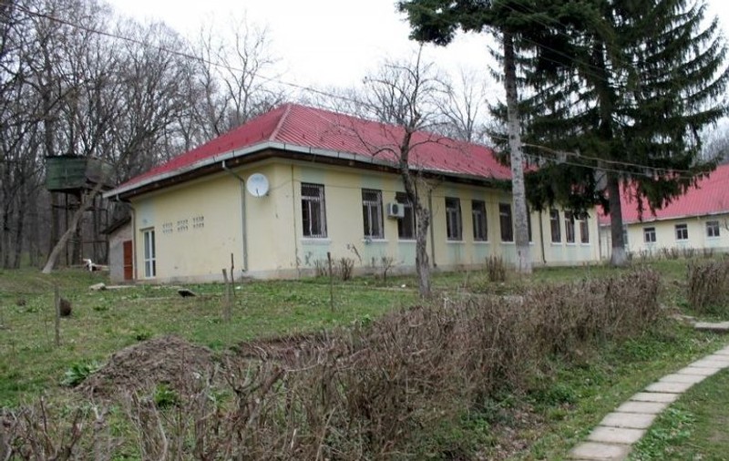 Spitalul de Psihiatrie Pădureni-Grajduri: sunt 240 de paturi și 410 bolnavi internați