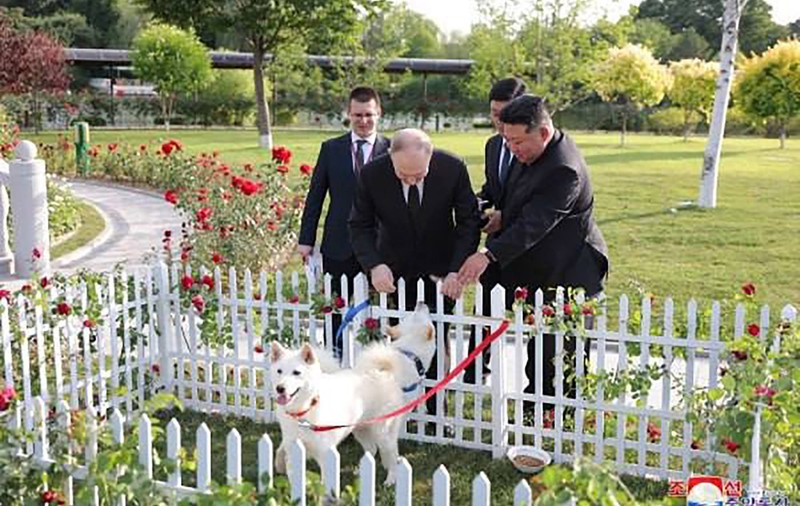 Kim Jong-un i-a dăruit lui Vladimir Putin doi câini din rasa Pungsan. Liderul rus l-a plimbat pe dictator cu o limuzină rusească Aurus