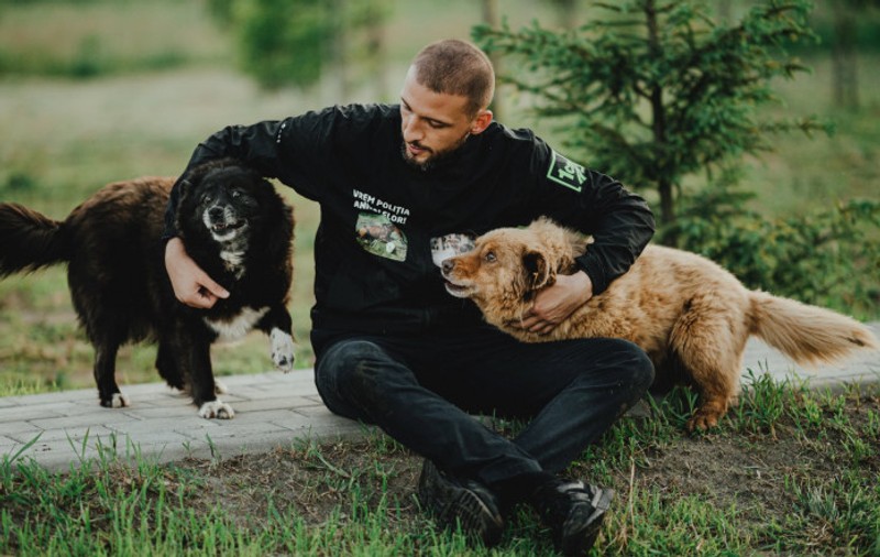 Ștefan Mandachi primește daune de la stat, după ce l-a dat în judecată că nu a rezolvat problema animalelor chinuite