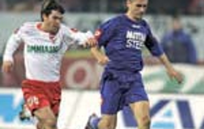 'Caini' morti!