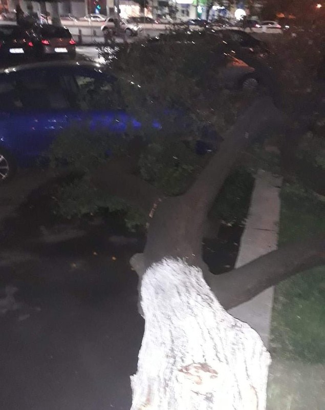 Furtună violentă în București și în Ilfov. Două persoane rănite, după ce o antenă GSM a căzut peste casele lor