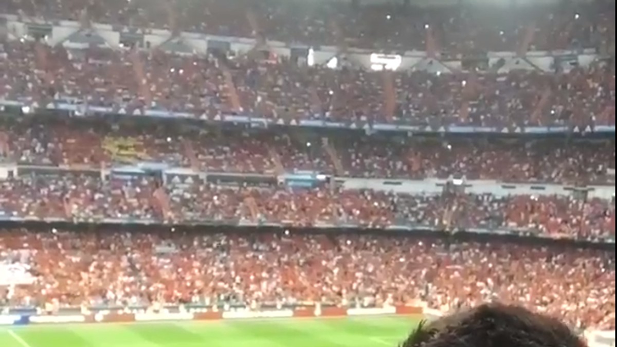 Imagini inedite cu Cosmin Contra încurajând naționala Spaniei