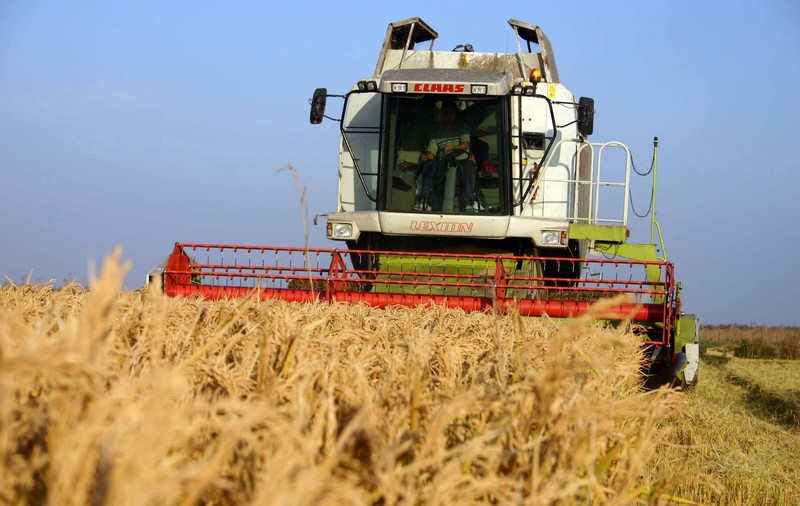 Ministrul Agriculturii explică de ce alimentele de import sunt mai scumpe decât ce producem noi