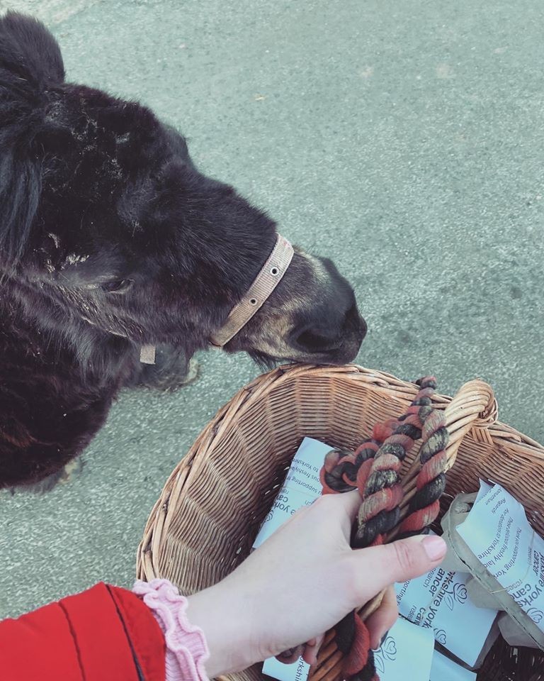Hannah și Little Alf