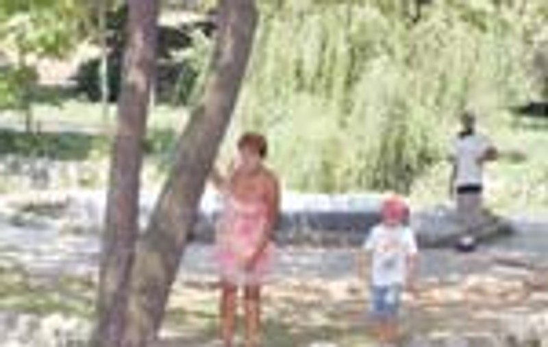 Lacul lebedelor in Cismigiu
