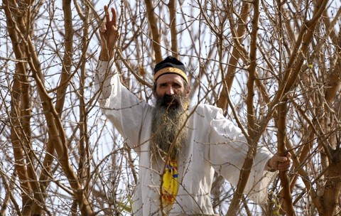 Protestatarul Cezar Avrămuță, cunoscut ca “Stegarul Dac”, într-un copac din curtea Arestului Central al Capitalei. Fotografie de arhivă: Hepta