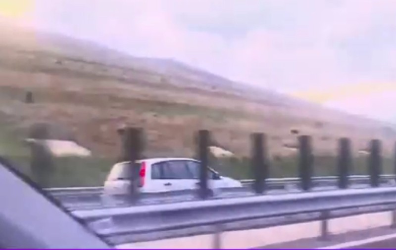 Șofer filmat circulând pe contrasens, pe A10 Sibiu - Cluj: „N-ai cum, frate!”