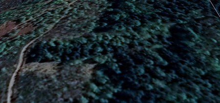 În 2020, conform imaginii de pe Google Earth, restul pădurii înghițise monumentul