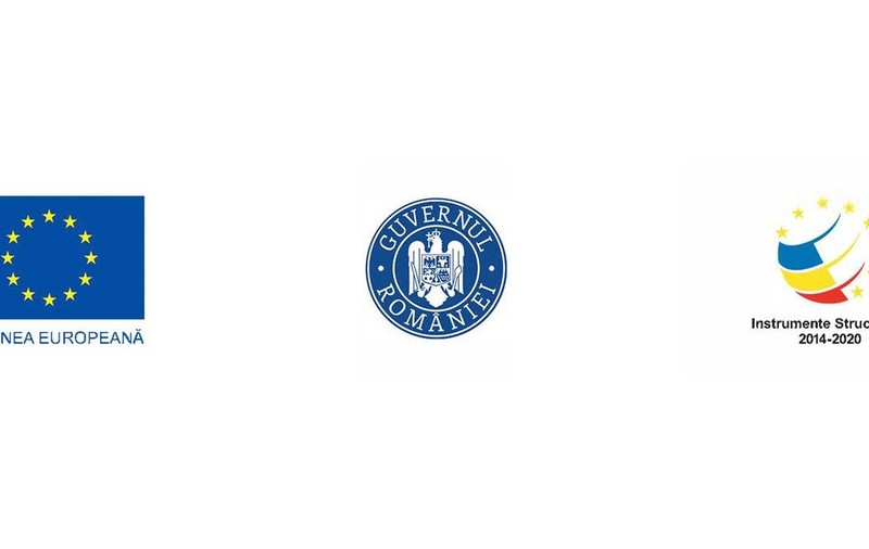 Poliția Română lansează Campania de Educație Rutieră vizând neatenția la volan