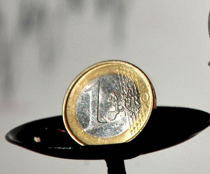 Arhiva foto