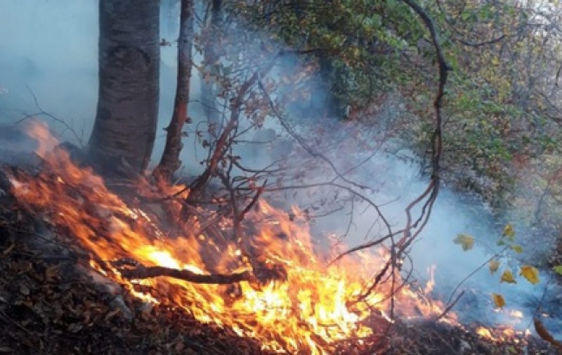 Incendiu de pădure în munții Vulcan. Pompierii intervin și cu un avion