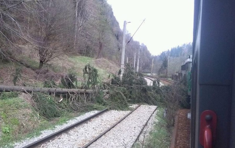 Cum aflu online, dacă trenul meu are întârziere. Călătorii trebuie să știe numărul exact al trenului