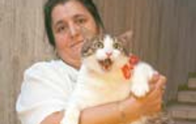 Senzatie! Motan de 18 kg la Expozitia Felina