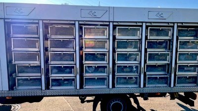 Porumbei transportati ilegal