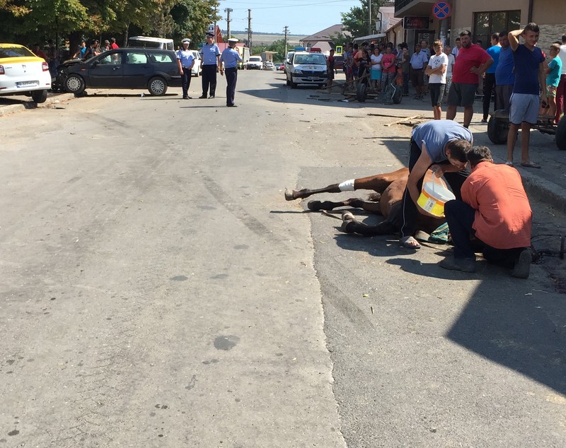 FOTO/VIDEO | Accident grav în județul Botoșani! Un bolnav psihic a furat un taxi și a spulberat o căruță