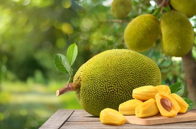 Jackfruit Foto: Shutterstock.com