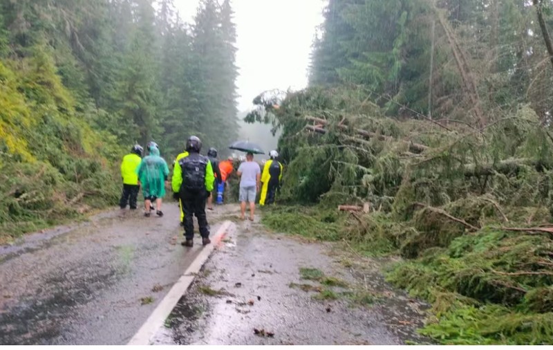 Zeci de mașini blocate pe Transalpina, după ce mai mulți copaci au căzut pe drum, în urma unei furtuni