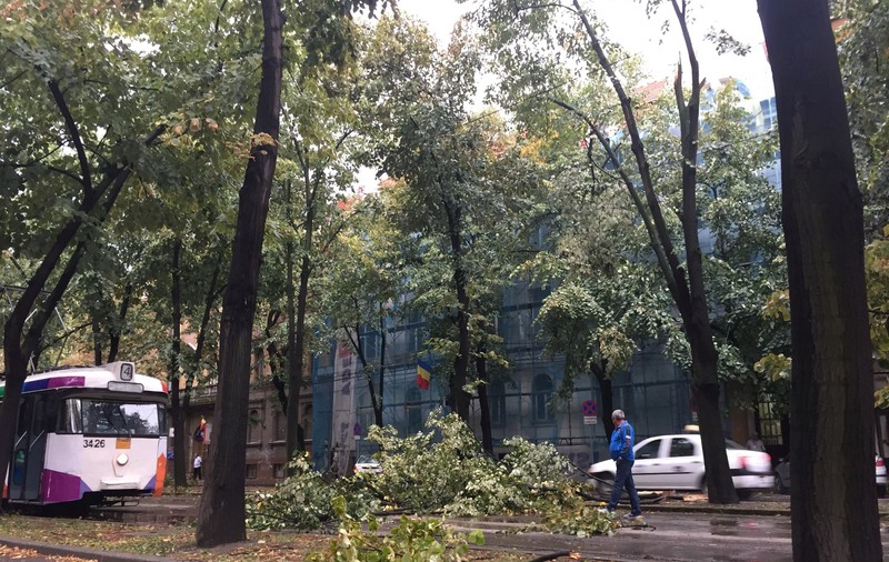 Brăila, Galați, Vaslui și Iași, măturate de furtuni miercuri seară. Care e bilanțul pagubelor