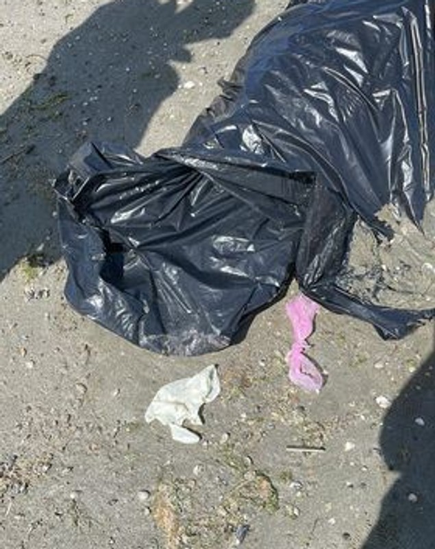 Delfin mort, abandonat pe plaja Modern din Constanța, într-un sac de gunoi