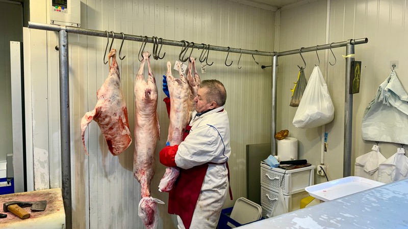 Am mers în Obor să vedem cât costă kilogramul de carne de miel pentru Paște 2026. Foto: Libertatea