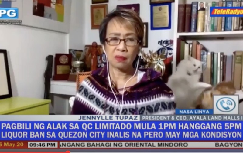 VIDEO VIRAL | Jurnalistă din Filipine, întreruptă în timpul unei transmisiuni de acasă, de pisicile care se luptau în spatele ei