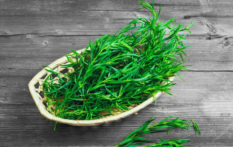 Tarhon - cum se consumă și ce beneficii are planta aromatică