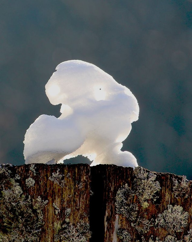 Fenomen absolut bizar la Sarmizegetusa Regia. Natura a sculptat păsări albe la Marele Templu Circular