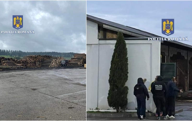 Descinderi de amploare în mai multe județe din țară la hoții de lemne și la ocoale silvice. Cum funcționa rețeaua din Suceava