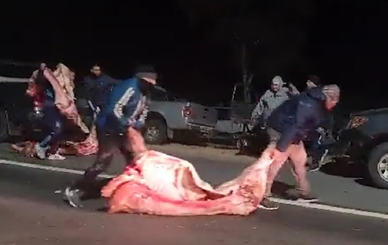 VIDEO | Zeci de oameni jefuiesc un camion răsturnat care transporta 23 de tone de carcase de porc, în Argentina