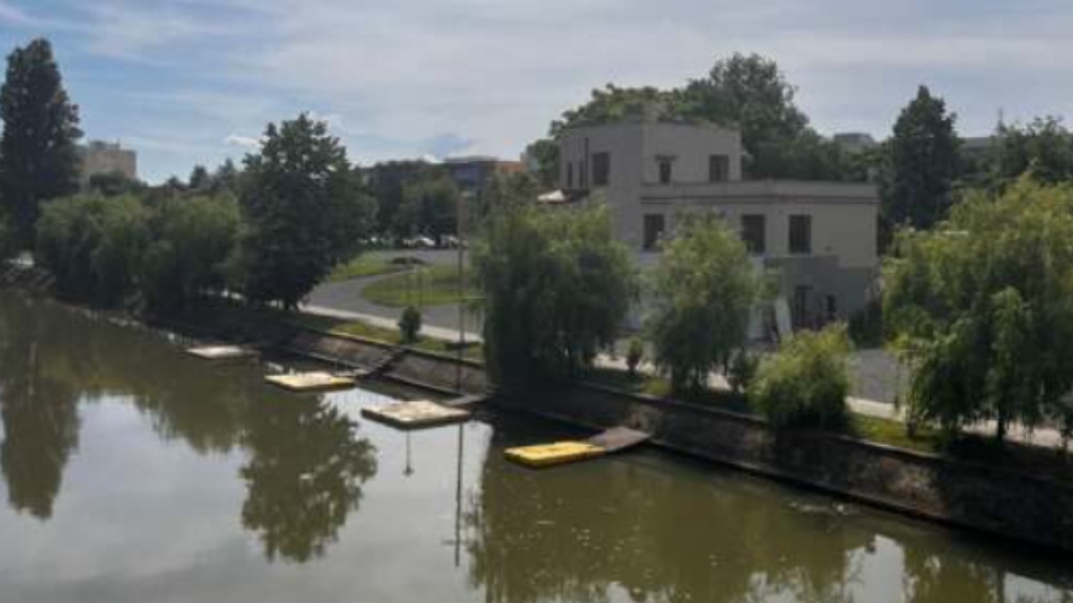 În Timișoara, aproape 2 hectare de noi spații verzi au fost amenajate în 2024