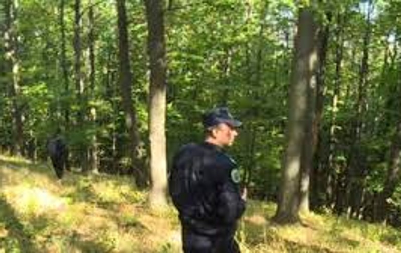 15 proiectile explozive descoperite într-o pădure din Vrancea