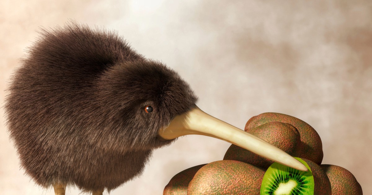 Pasarea kiwi