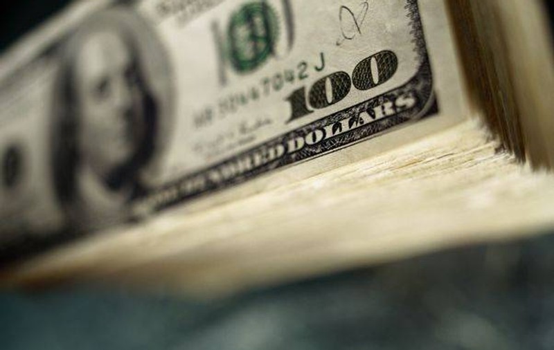 Un câine a moştenit 1 MILION $. Vezi cum este răsfăţat patrupedul norocos
