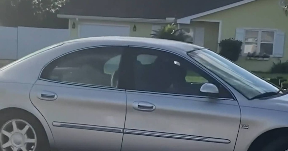 VIDEO Un câine rămas singur în mașină a reușit să pornească autoturismul. Patrupedul a mers în cerc timp o oră