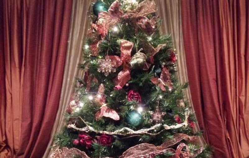 Un tânăr din Sibiu împodobește bradul de Crăciun contracost. „Ar fi o oportunitate și nimeni n-a profitat de ea”