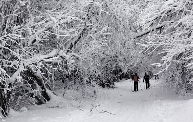 Ninge la această oră în Capitală. Avertizare ANM: Viscol, ninsori şi polei în Muntenia, Moldova şi Dobrogea