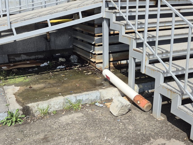 Umezeala și chiștoacele de sub scara care duce la sediul DRPCIV