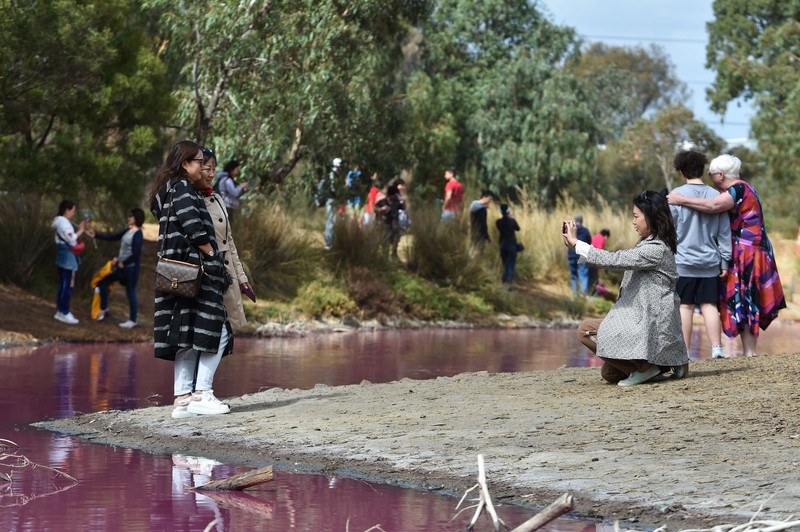 Turiști chinezi în Melbourne, la ”Lacul roz”