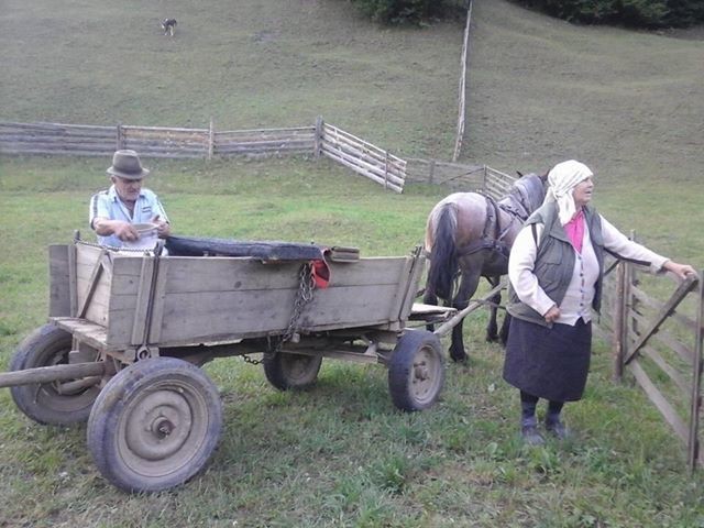 Dumitru Chindea (stânga), alături de soția sa, la muncă, pe dealurile Bicazului.