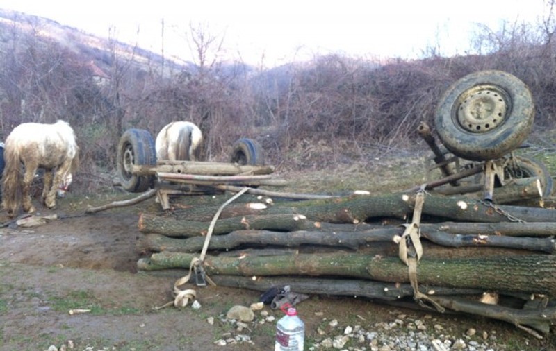 Un bărbat a murit după ce o căruță plină cu lemne s-a răsturnat peste el