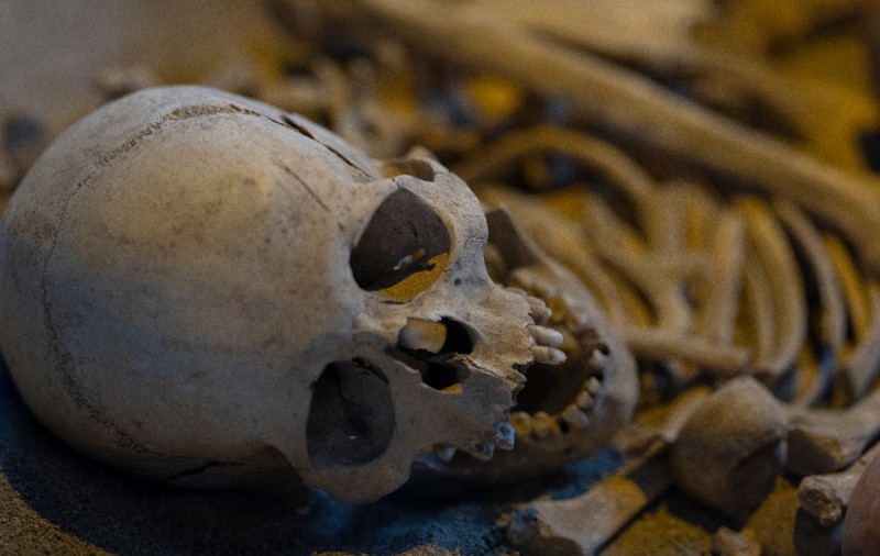 O prințesă romană a fost găsită într-un sicriu vechi din trunchi de copac, căzut de pe o stâncă acum 100 de ani