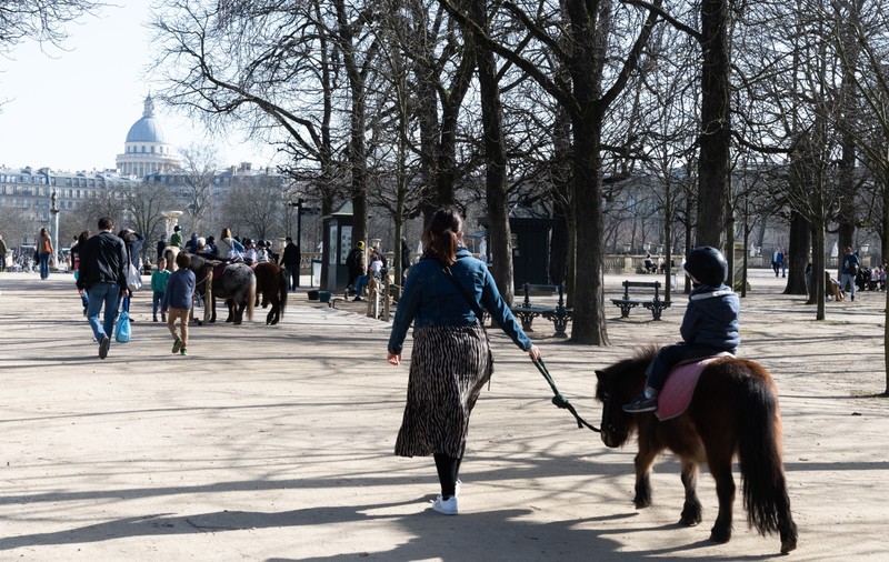 Plimbările cu ponei pentru copii, interzise în Paris. Decizia, luată în urma unei campanii pentru drepturile animalelor