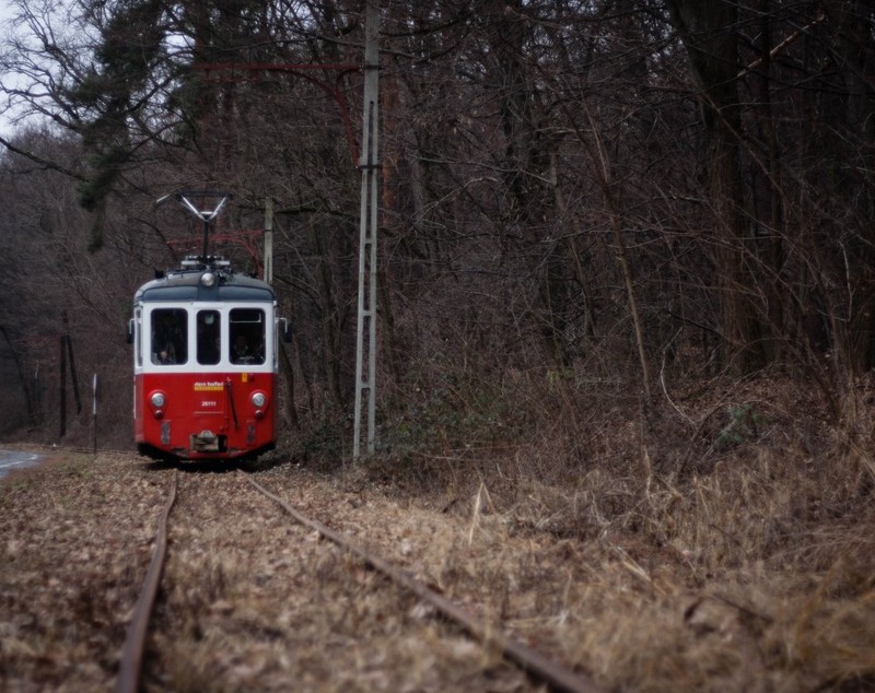 Tramvaiul Sibiu-Rășinari circulă din nou. Traseul mirific duce spre Mărginimea Sibiului