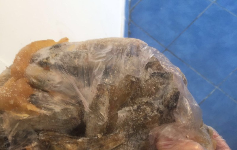 Amenzi de peste 20.000 de lei pe litoral