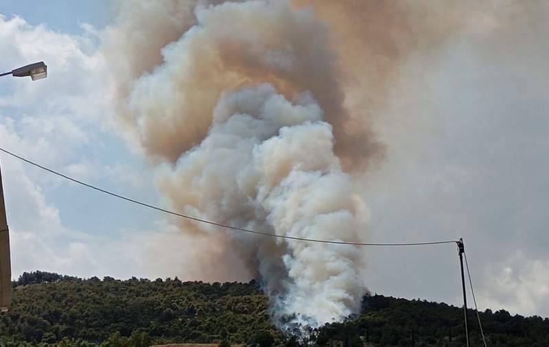 Nou incendiu de amploare în pădurile de lângă Atena. Intervin 100 de pompieri cu 25 de autospeciale și 16 aeronave de stingere