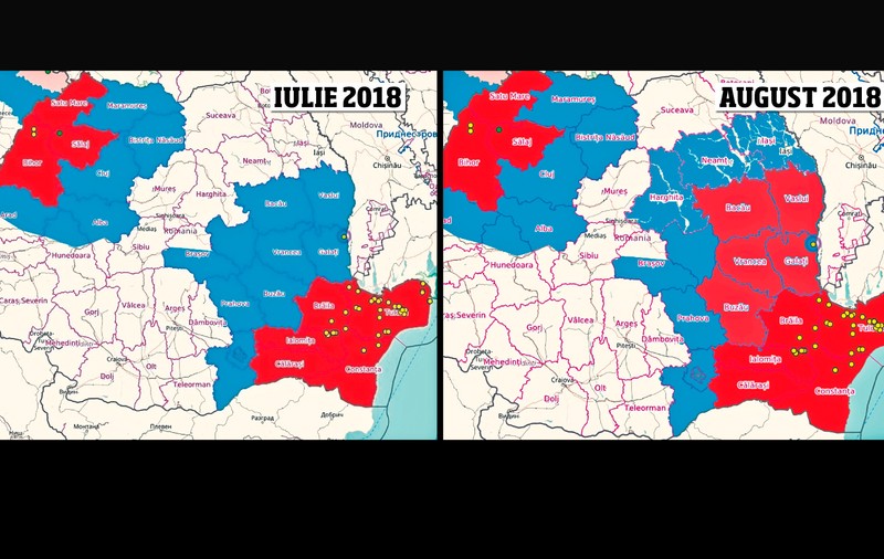 DOCUMENTE DIN INTERIOR: Guvernul ascunde proporțiile pestei porcine, harta Comisiei Europene cu evoluția focarelor înroșește tot mai mult din țară!