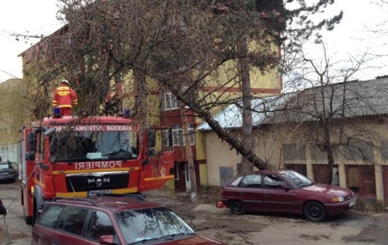 Vântul a făcut ravagii în Suceava. Copaci căzuți peste mașini, acoperișul unui bloc smuls FOTO